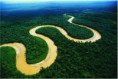 /album/fotogaleria-amazonas2/descarga-5-jpg3/